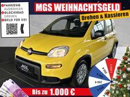 Fiat Panda, #PANDINA #, Jahr 2024 - Bayreuth