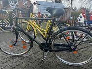 Fahrrad von privat - Papenburg