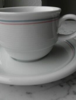 Thomas Porzellan Trend Hotel&Restaurant 1 Tasse Streifen grau rosa 4,- - Flensburg