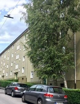 Frisch renovierte 1-Zi.-Whg. mit Tageslichtbad - Wuppertal