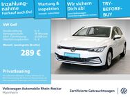 VW Golf, 1.0 VIII eTSI Life, Jahr 2021 - Mannheim