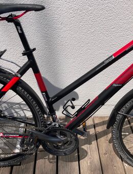 Damen Trekkingrad Staiger Daytona - Affing