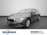 Skoda Octavia, 1.5 TSI STYLE, Jahr 2024 - Alzey