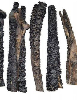 Pansen Rindermägen getrocknet, 100 % natürlich 1kg Hundefutter - Wuppertal