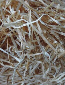 Holzwolle natur 800 g zum Dekorieren Basteln Ostergras Osterwolle 3,- - Flensburg