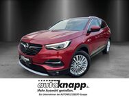 Opel Grandland X, 2.0 Bus INNOV, Jahr 2020 - Weinheim