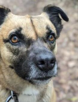 Moon-ruhig und zurückhaltend - Burgstetten