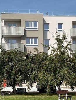 SENIORENWOHNEN in Wassertrüdingen - Mittelfranken (2-Zimmer-Wohnung)! - Wassertrüdingen