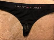 2 Tage getragener Tommy hilfiger Tanga, viel Ausfluss! - Berlin Mitte