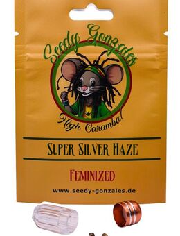 Super Silver Haze - Sinzig