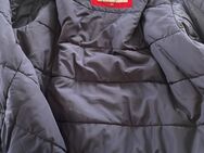 Tommy Hilfiger Jacke in Größe L - Sehnde Zentrum
