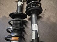 Stoßdämpfer für Heavy Chassi rechts/links Einbaufertig 50707946 - Schuby