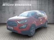 Ford EcoSport, 1.0 EcoBoost TREND, Jahr 2018 - Marienmünster