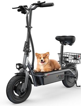 iScooter Elektroroller F2 Shopping-Scooter für Erwachsene, - Hamburg