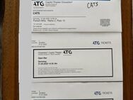 2 Top Tickets für Cats in Düsseldorf 31.05.25 inkl Bar Tickets - Leopoldshöhe
