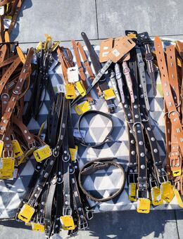 NEU Einstellbares Echtleder Hunde Tier Halsband verschiedene Größen & Farben - Sengenthal