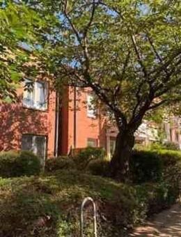 Die gefällt mir: ansprechendes 1,5-Zimmer-Single-Appartment - Altenholz