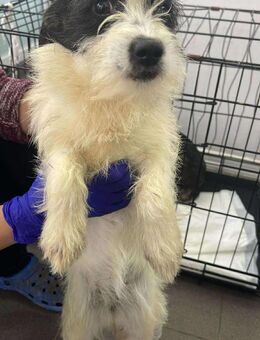 B720 möchte ihr zu Hause finden - Neuberg