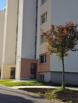 Schmucke neue Single-Wohnung!! - Hohenstein-Ernstthal