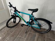 Noxon Fahrrad - Regis-Breitingen