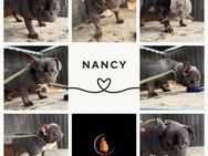Nancy PP - Traum sucht Liebe - Neustadt (Rübenberge)