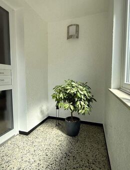 helle sanierte Altbau Wohnung - Bad Salzuflen