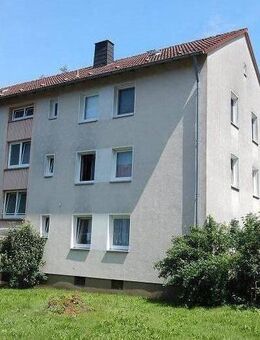 gemütliche, bezugsfertige 2-Zi-Wohnung im Erdgeschoss - Bochum