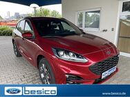 Ford Kuga, ST-Line X iACC, Jahr 2024 - Glauchau