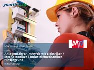 Anlagenfahrer (m/w/d) mit Elektriker / Mechatroniker / Industriemechaniker Hintergrund - Merseburg