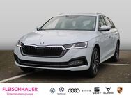 Skoda Octavia, 2.0 EU6d Combi Style, Jahr 2023 - Bonn