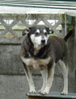 Wann geht mein Leben endlich los? - Kefenrod