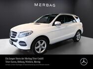 Mercedes GLE 350, d Harman, Jahr 2018 - Bitburg