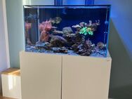 Meerwasser Aquarium Komplett; NYOS Opus 300 G2 Proline, Technik von Ecotech, Reef Factory, Deltec, AI etc. - Groß Grönau