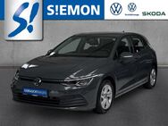 VW Golf, 2.0 TDI VII Life diggi, Jahr 2022 - Ibbenbüren