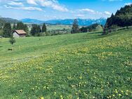 Wunderschöne sonnige Baugrundstücke in Erbbaurecht zu vergeben. - Reifferscheid