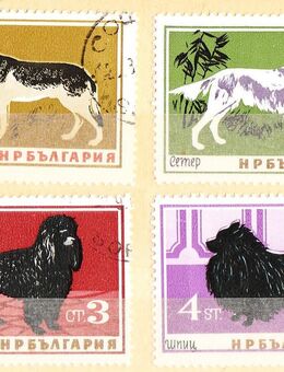 Bulgarien Briefmarken Hunde (438) - Hamburg
