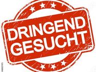 Suche Privat-Grund: Bunker od. Lagerhalle zum Wohnen und Arbeiten - Potsdam