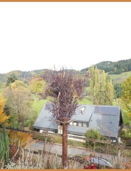 Die Gelegenheit für Sie: Sehr schönes 3-Familien-Wohnhaus in wunderschöner sonniger Lage! - Zell (Harmersbach)