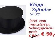 diesen alten Klapp-Zylinder - Nürnberg