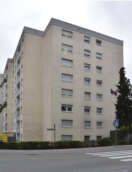 2 Zimmer in Viernheim - Viernheim