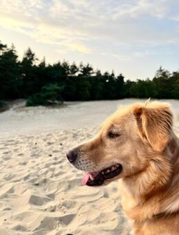 Wo sind die Menschen für Jule? 😍 - Freilassing
