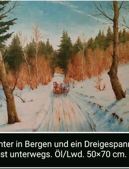 Ein Dreigespann unterwegs in Winter. - Nürnberg