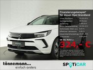 Opel Grandland, ELEGANCE SITZ, Jahr 2023 - Heiden