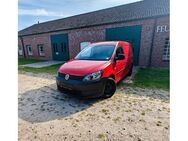 VW Caddy 1,6 TDI Kasten/Kombi Maxi Kasten EcoProfi - Norderstedt