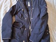 Jedes Oberteil für wenig Geld/ Jacke / Hose / Shirt / Schuhe - Vechta
