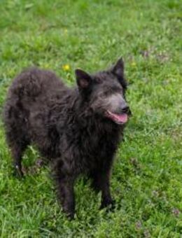 PRISKA - jetzt kommt meine Glückssträhne - Overath