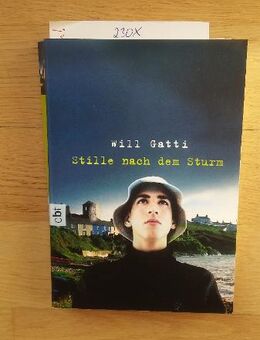STILLE NACH DEM STURM. Broschierte TB-Ausgabe v. 2003, cbt Verlag. Will Gatti (Autor) - Rosenheim