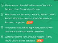 Probleme mit der Google-Sperre ich kann helfen. - Witten