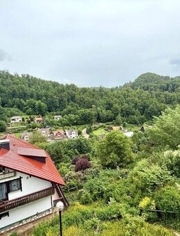 Ehemalige Pensionshäuser in einmaliger Lage von 37445 Walkenried OT Wieda - Walkenried