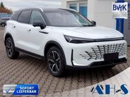 BAIC X75, ° Massage, Jahr 2022 - Hettstedt